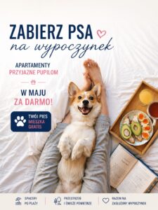 Pies w apartamencie na wakacjach, urlop z psem nad morzem