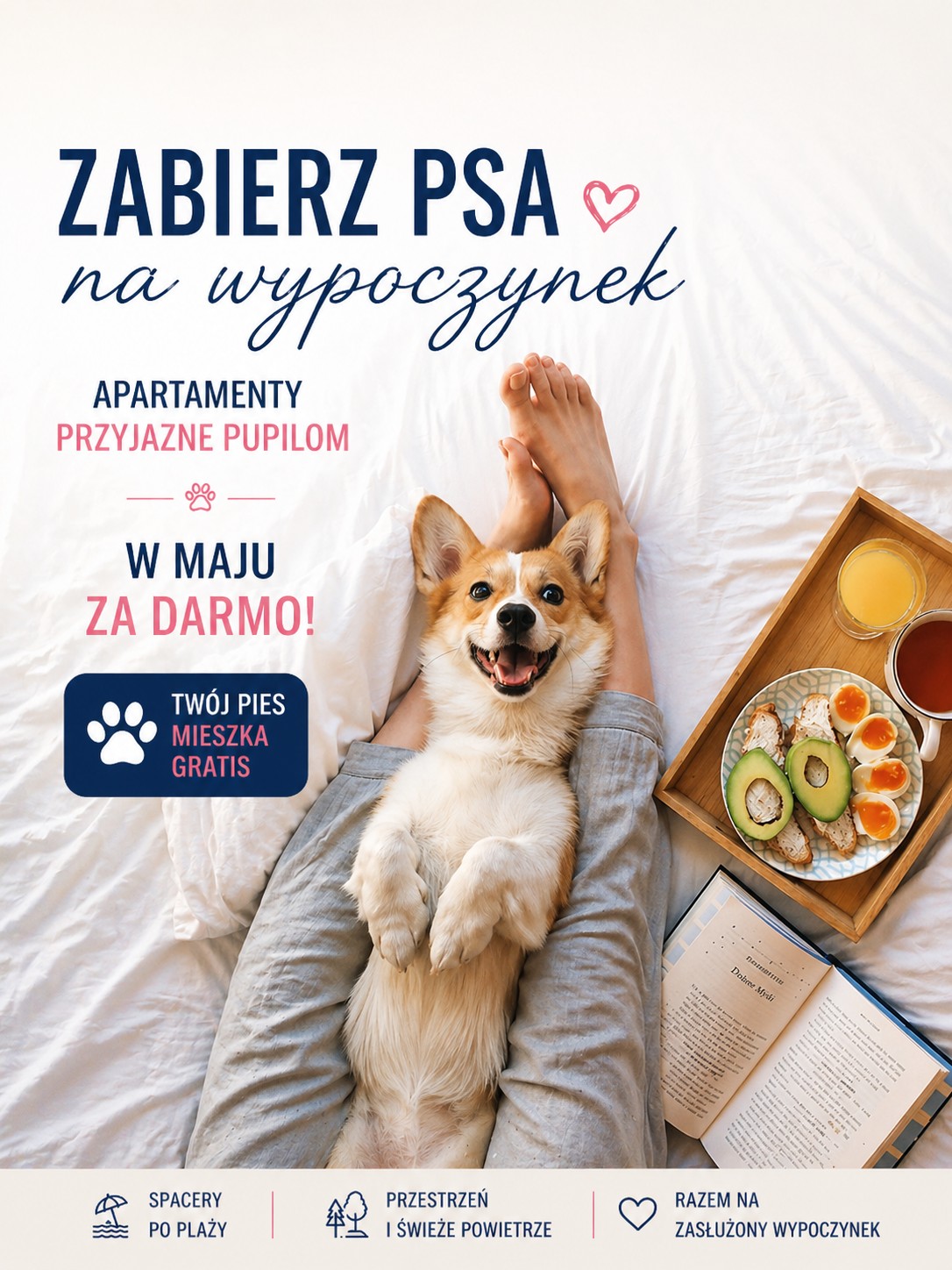 Pies w apartamencie na wakacjach, urlop z psem nad morzem